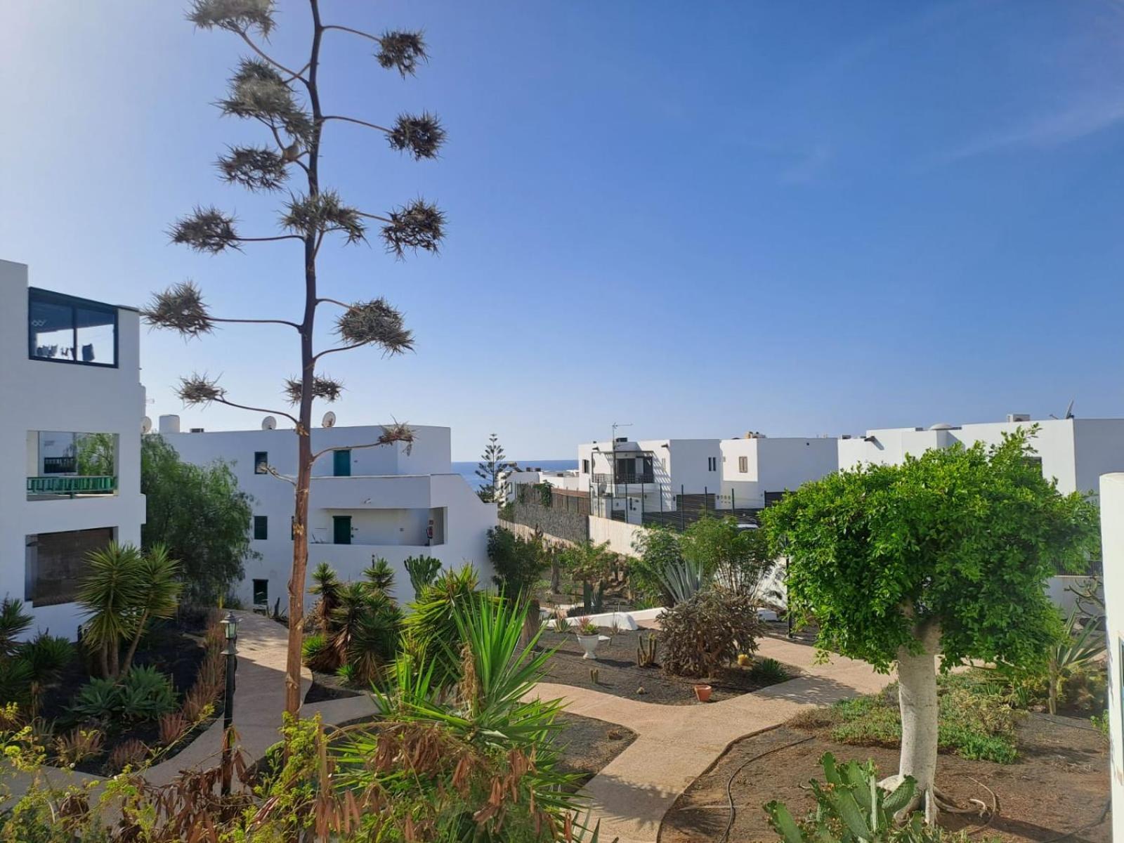 קוסטה טגוויסה Azul Tuscan Playa Y Piscina מראה חיצוני תמונה