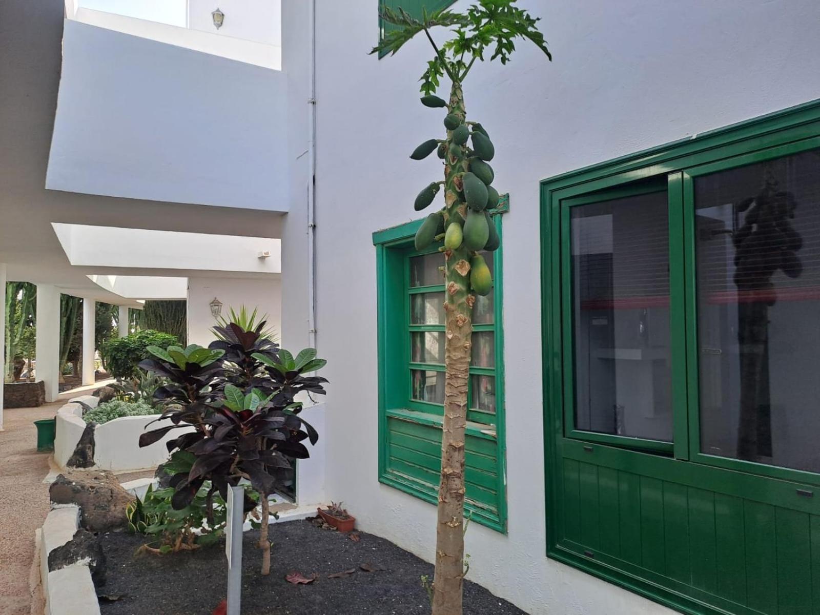 קוסטה טגוויסה Azul Tuscan Playa Y Piscina מראה חיצוני תמונה